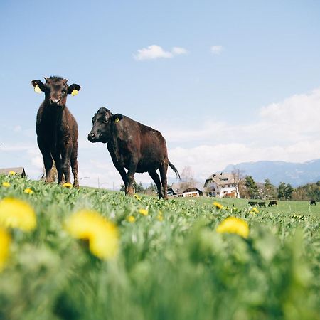 Alpin Farm Linde - Oberweidacherhof Колалбо Екстериор снимка