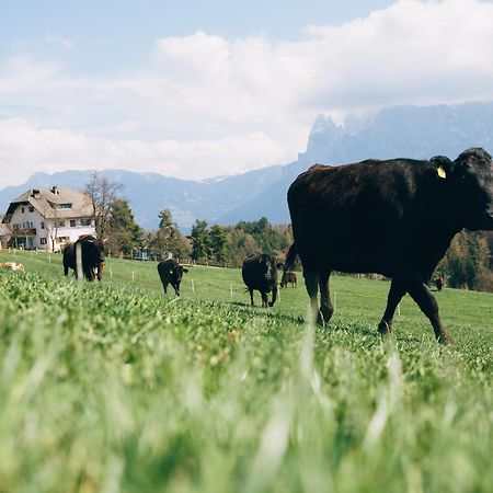 Alpin Farm Linde - Oberweidacherhof Колалбо Екстериор снимка
